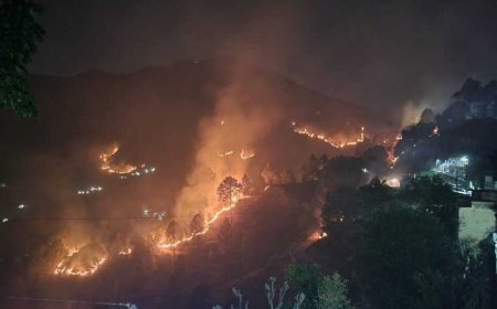 उत्तराखंड में वनाग्नि का संकट गहराता, 350 से अधिक घटनाओं में सैकड़ों हेक्टेयर बर्बाद