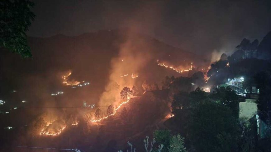 उत्तराखंड में वनाग्नि का संकट गहराता, 350 से अधिक घटनाओं में सैकड़ों हेक्टेयर बर्बाद