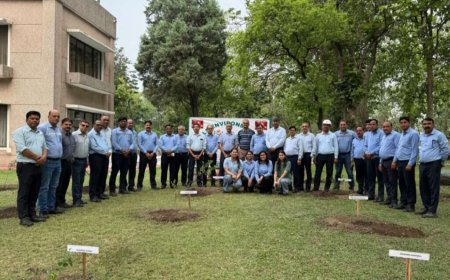 लालकुआं में सेंचुरी ने पर्यावरण दिवस पर लगाए 2.5 लाख पेड़, प्रकृति संरक्षण की दिशा में एक बड़ा कदम