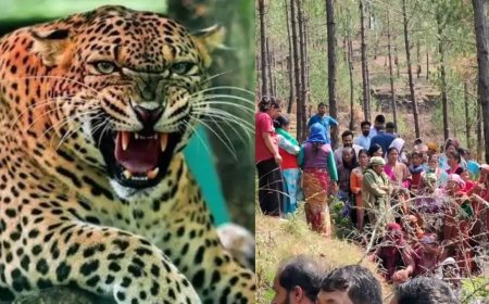 पौड़ी: दिनदहाड़े गुलदार का आतंक, महिला बनी शिकार