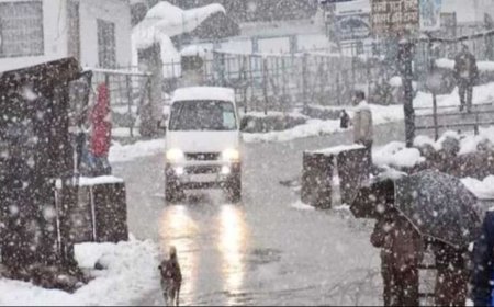 उत्तराखंड में मौसम का बदला मिजाज: भारी बारिश और तेज अंधड़, ऑरेंज-यलो अलर्ट जारी