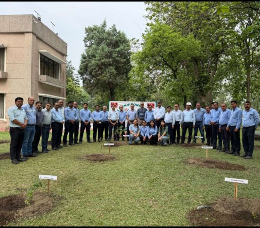 लालकुआं में सेंचुरी ने पर्यावरण दिवस पर लगाए 2.5 लाख पेड़, प्रकृति संरक्षण की दिशा में एक बड़ा कदम