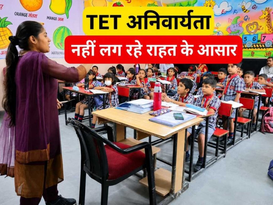 टीईटी परीक्षा से शिक्षकों का भविष्य संकट में, सरकार समाधान की खोज में