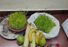 हरेला: हरियाली का पर्व नहीं बल्कि विश्वास और धैर्य का प्रतीक