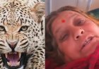 65 वर्षीय पहाड़ की वीर महिला की कहानी: गुलदार के हमले में दिखाया साहस