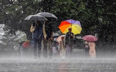 उत्तराखंड में बारिश का येलो अलर्ट, मानसून अपडेट पर ध्यान दें
