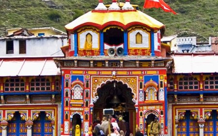 बीकेटीसी में बड़ी कार्रवाई: व्यक्तिगत सहायक प्रमोद नौटियाल निलंबित, जांच समिति गठित।