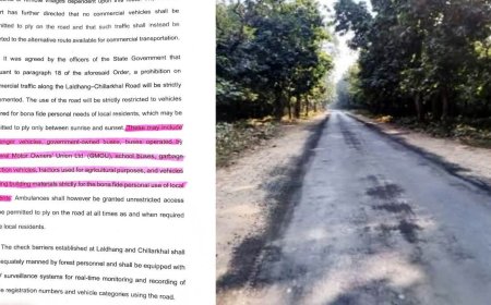लालढांग-चिल्लरखाल मार्ग से सभी प्रकार के वाहनों की अनुमति, न्यायालय की समिति का ऐतिहासिक निर्णय