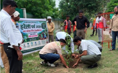 हरिद्वार-रुड़की विकास प्राधिकरण ने किया वृहद पौधारोपण