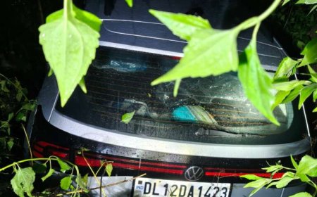 उत्तराखंड में रेड अलर्ट: भारी बारिश के दौरान खाई में गिरी कार, प्रशासन ने किया त्वरित रेस्क्यू