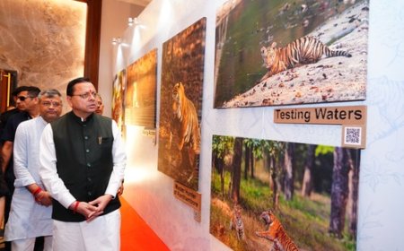 सिंगल-यूज़ प्लास्टिक के विरुद्ध प्रभावी जनभागीदारी अभियान का आवाहन, मुख्यमंत्री ने बाघ संरक्षण पर आधारित कला का विमोचन किया