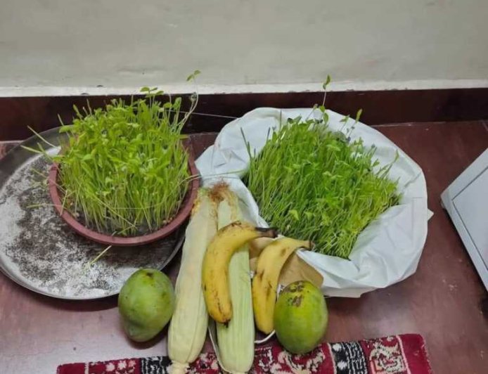 हरेला: हरियाली का पर्व नहीं बल्कि विश्वास और धैर्य का प्रतीक