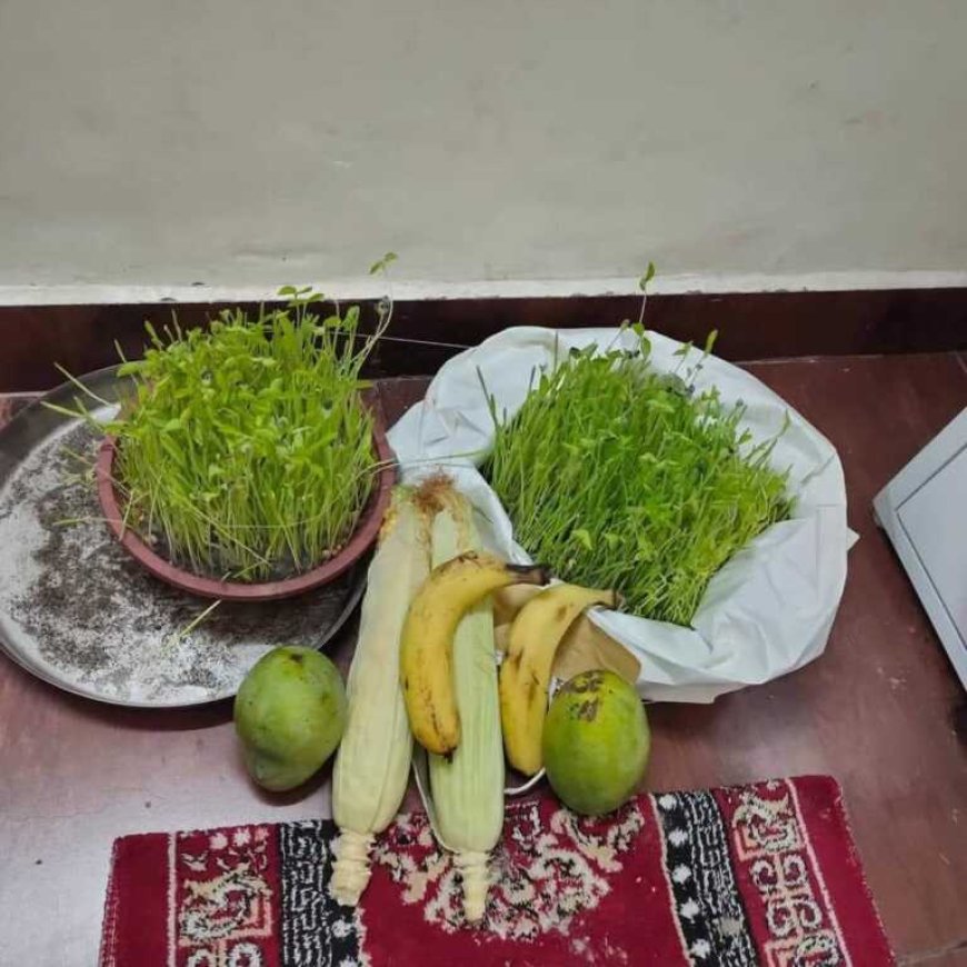 हरेला: हरियाली का पर्व नहीं बल्कि विश्वास और धैर्य का प्रतीक