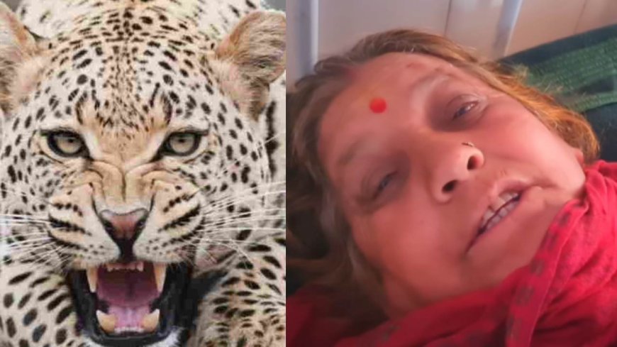 65 वर्षीय पहाड़ की वीर महिला की कहानी: गुलदार के हमले में दिखाया साहस