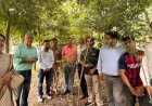 देहरादून में मियावाकी तकनीक से विकसित जंगल, सामुदायिक सहयोग से 90% पौधों की सफलता