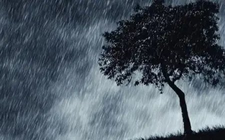 मौसम अपडेट: उत्तराखंड में मानसून जारी, भारी बारिश का अलर्ट