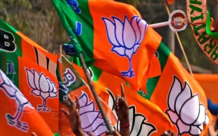 भाजपा उत्तराखंड ने प्रदेश कार्य समिति की सदस्यों की सूची की घोषणा, बड़े बदलाव की उम्मीद