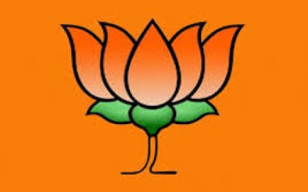 भाजपा ने सांगठनिक जिलों के प्रभारियों और सह प्रभारियों की नई सूची की घोषणा