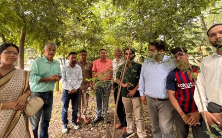 देहरादून में मियावाकी तकनीक से विकसित जंगल, सामुदायिक सहयोग से 90% पौधों की सफलता
