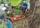 बड़ी खबर-: यहां फंसा तेंदुआ, वन विभाग ने ट्रैंकुलाइजर से किया सुरक्षित रेस्क्यू ।।