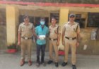 लालकुआं में चोरी का खुलासा, एक गिरफ्तार दिन में पेंट का काम तलाशने के बहाने करते थे बंद मकानों की रेकी ।।