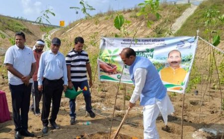 हरिद्वार में दो एकड़ क्षेत्र में मियावाकी पद्धति से लगेंगे 24,176 पौधे।