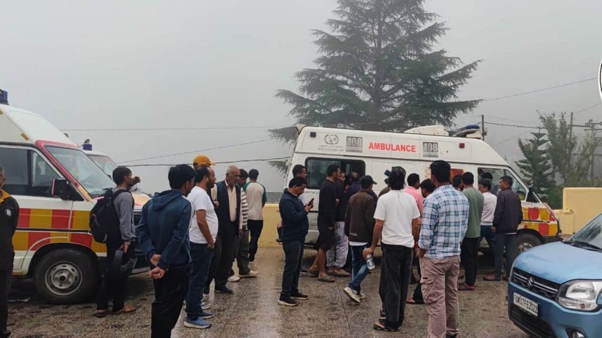 चमोली के नेल-सिदेली में घास लेने गई महिलाओं पर भालू का हमला, एक की मौ*त; दूसरी गंभीर घायल