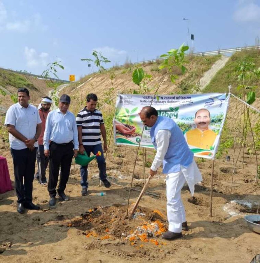 हरिद्वार में दो एकड़ क्षेत्र में मियावाकी पद्धति से लगेंगे 24,176 पौधे।