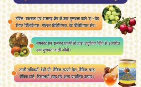 नाबार्ड का ‘सेब महोत्सव 3.0’ 8-9 अक्टूबर को: विशेष जानकारी और आयोजन विवरण